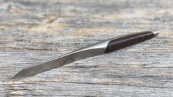 100 - 250 CHF, Schweizer Steakmesser