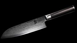 Pakkaholz, Нож Santoku
