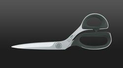 100 - 250 CHF, Kai scissor